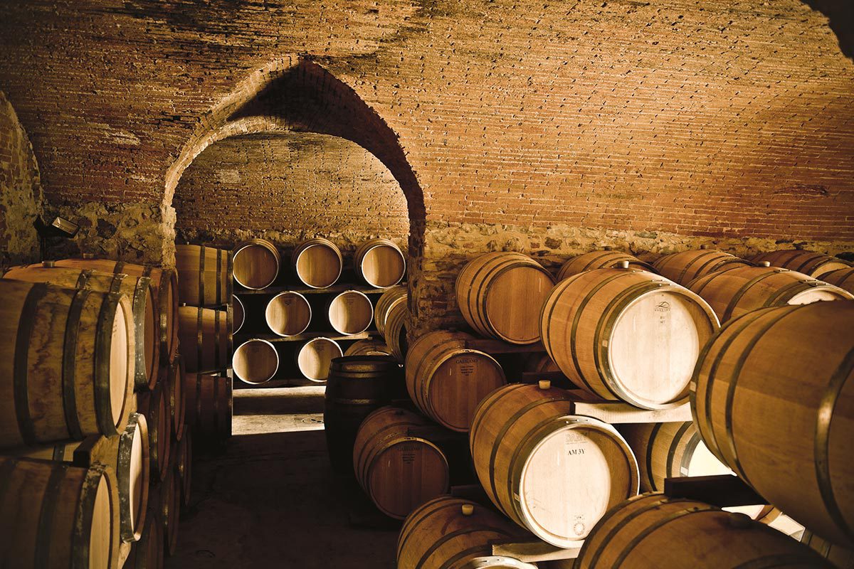 Wine Experience - 19