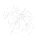 Il Cavaliere Restaurant - 15