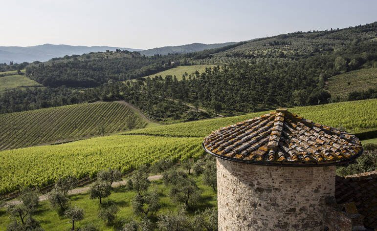 Cambiamento climatico: la consapevolezza del consumatore - 10