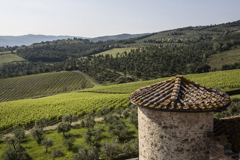 Cambiamento climatico: la consapevolezza del consumatore - 1