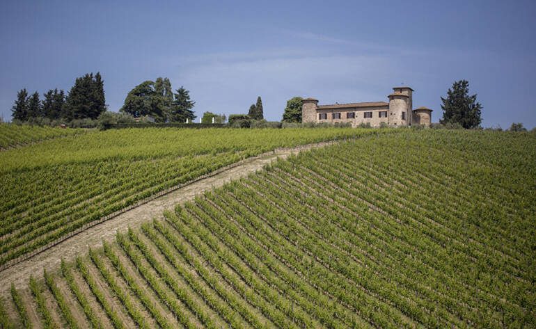 CHE VENDEMMIA SARA'? - 6