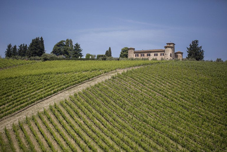 CHE VENDEMMIA SARA'? - 2