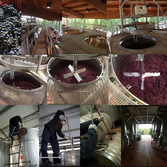 ….Vendemmia 2014 - 1