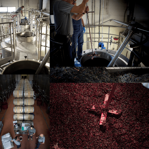 Alta tecnologia al servizio di un mondo antico - 2