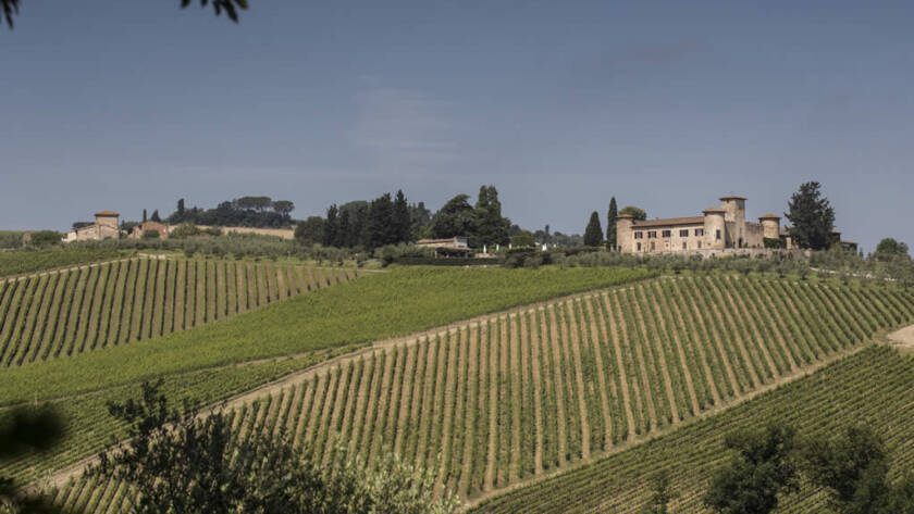 ANNATA 2022: aspettative a metà giugno - 5