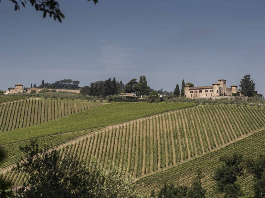 ANNATA 2022: aspettative a metà giugno - 1