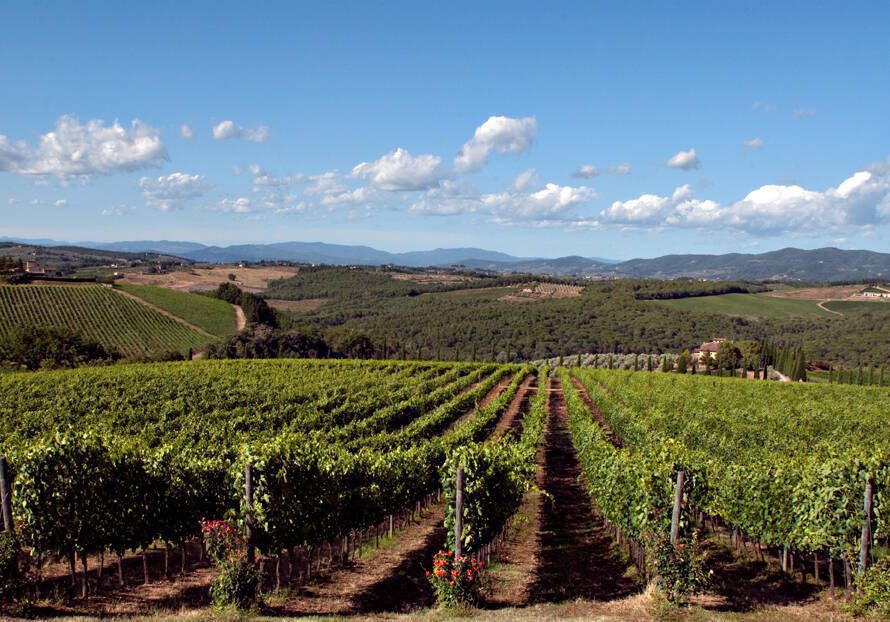 Il clima e l'uva - 2