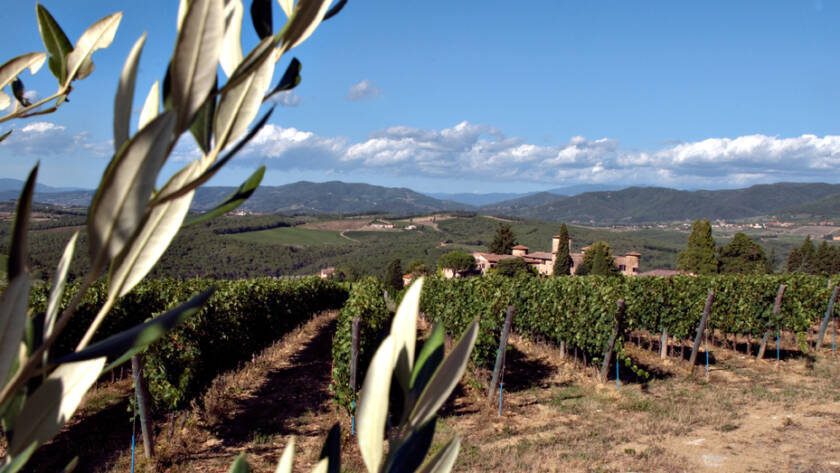 VENDEMMIA 2021: CONDIZIONI CLIMATICHE - 6