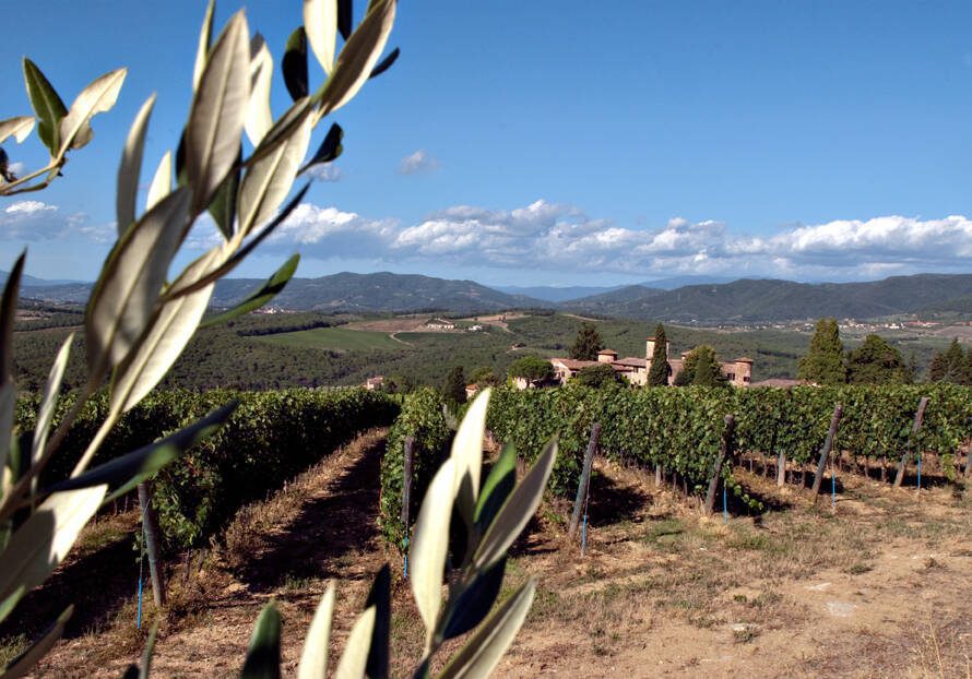 VINTAGE 2021: CLIMATIC CONDITIONS - 5