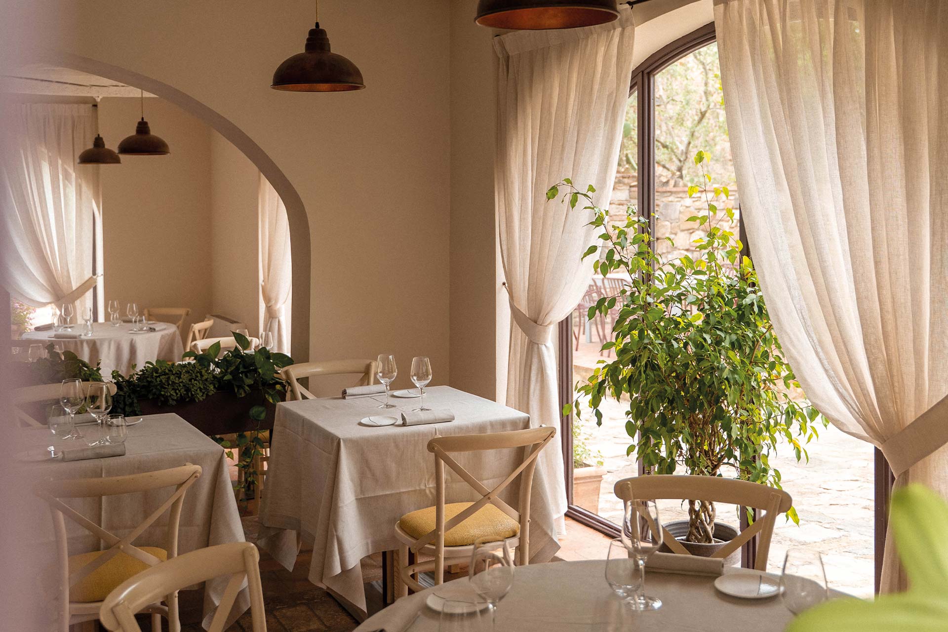 Wine Experience - 27