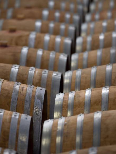 vendemmia_Daniela-Marchi_186_6780