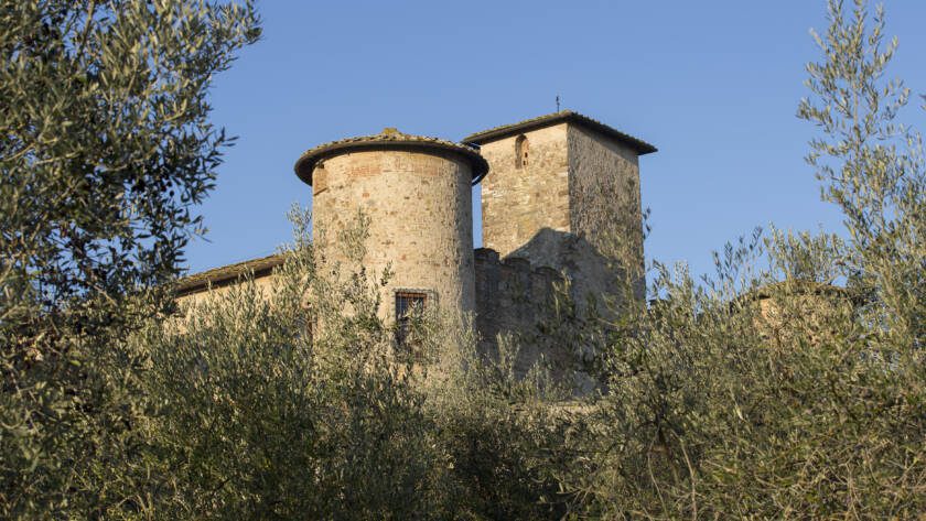 Raccolta Olive iniziata - 3