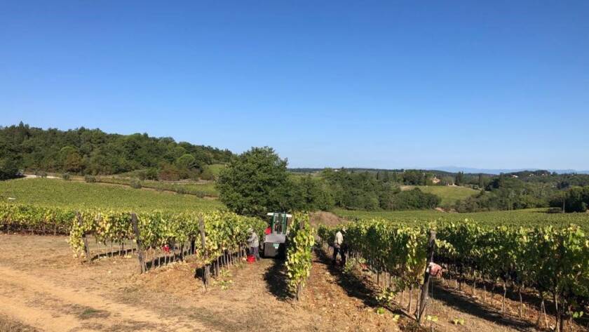 2021 harvest: last day - 6