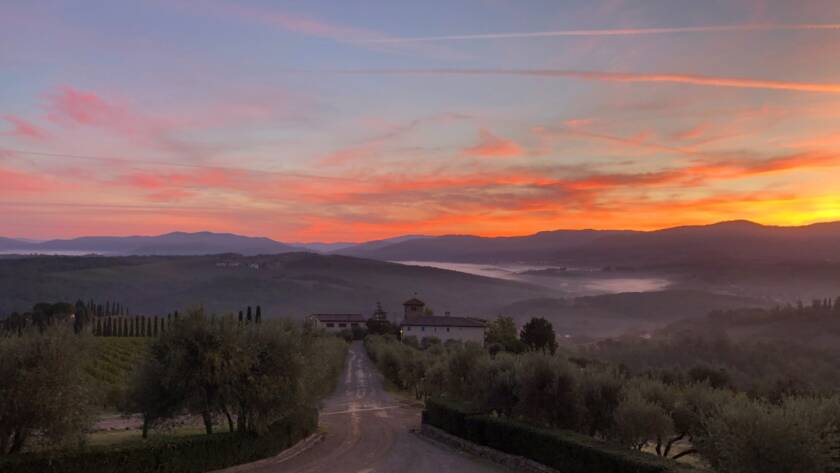 Vendemmia 2020 : Fine - 1