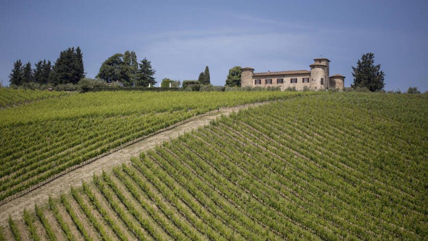 Annata 2022: situazione a fine Luglio - 4