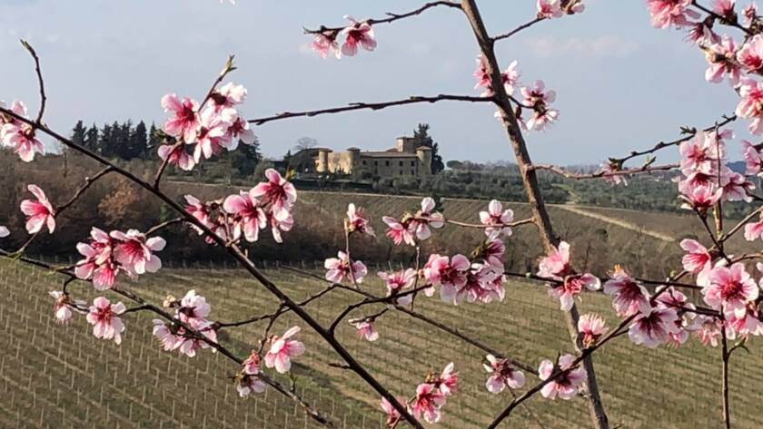 PRELUDIO di PRIMAVERA - 10