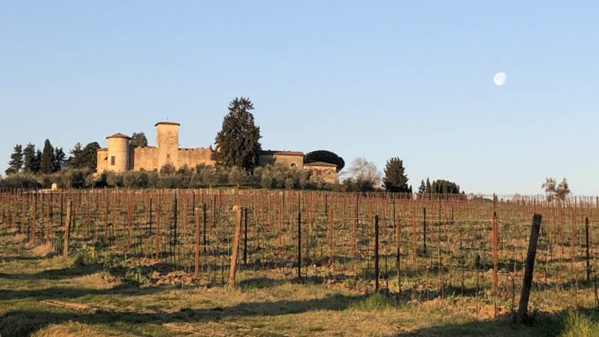 An unusual harvest! - 5