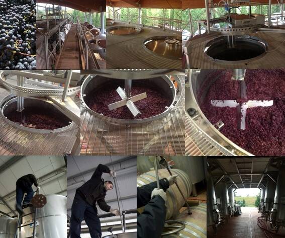 ….Vendemmia 2014 - 4