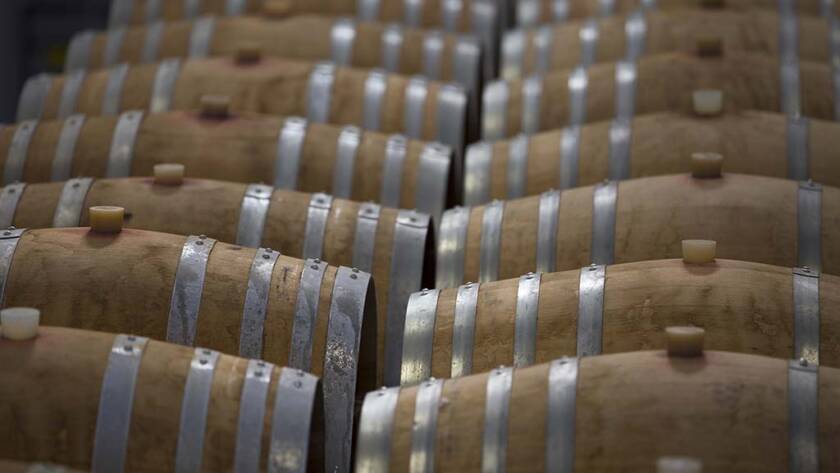 Lunga vita alla barrique: attore non protagonista - 3