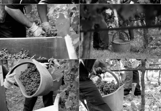 Lavori in corso - 10