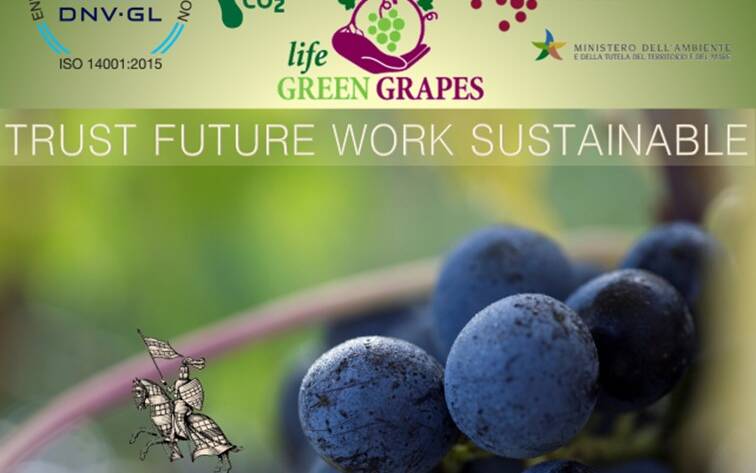 At Vinitaly , sustainable! - 5