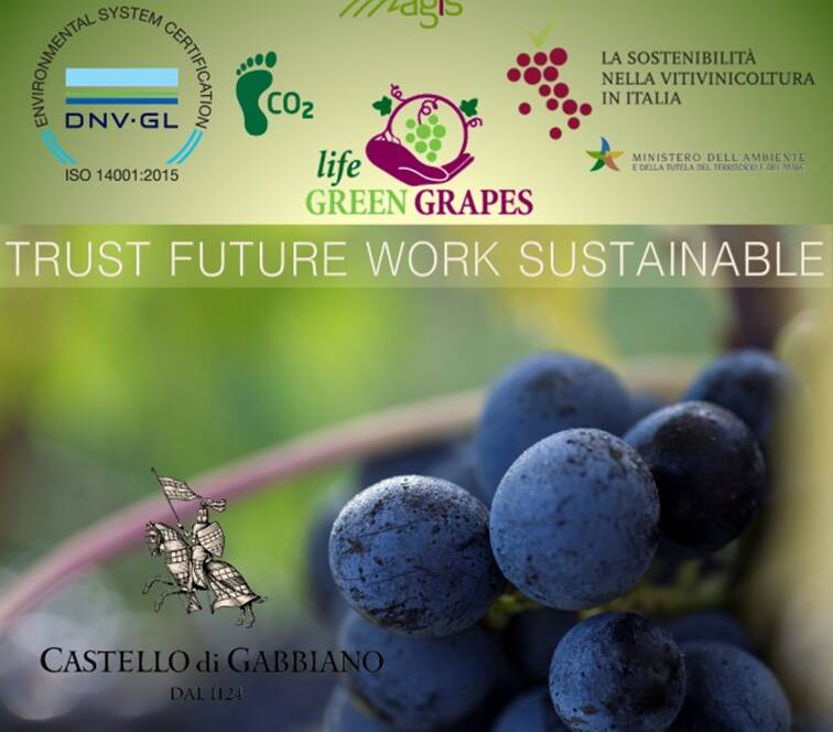 At Vinitaly , sustainable! - 3