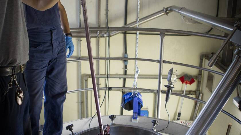 Vendemmia 2020: aggiornamenti dalla cantina - 10