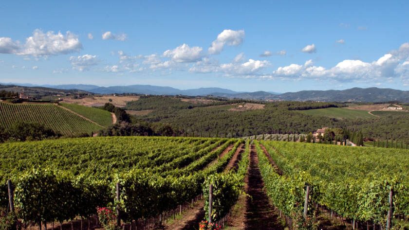 Il clima e l'uva - 3