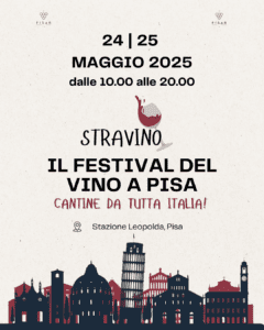 Stravino 2025 3 Stravino 2025 - 3